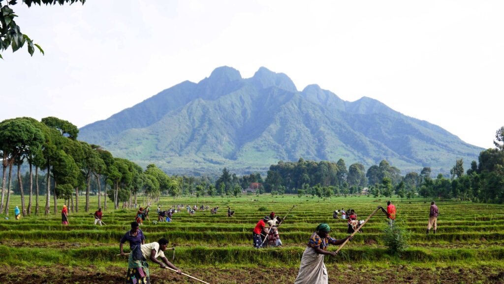 Mount Sabyinyo - Hiking the 'Old Man's Teeth' Across Rwanda, Uganda & DRC