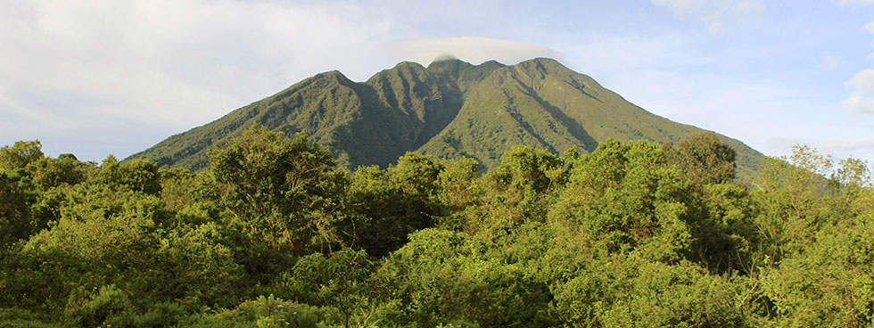 Virunga Conservation Area