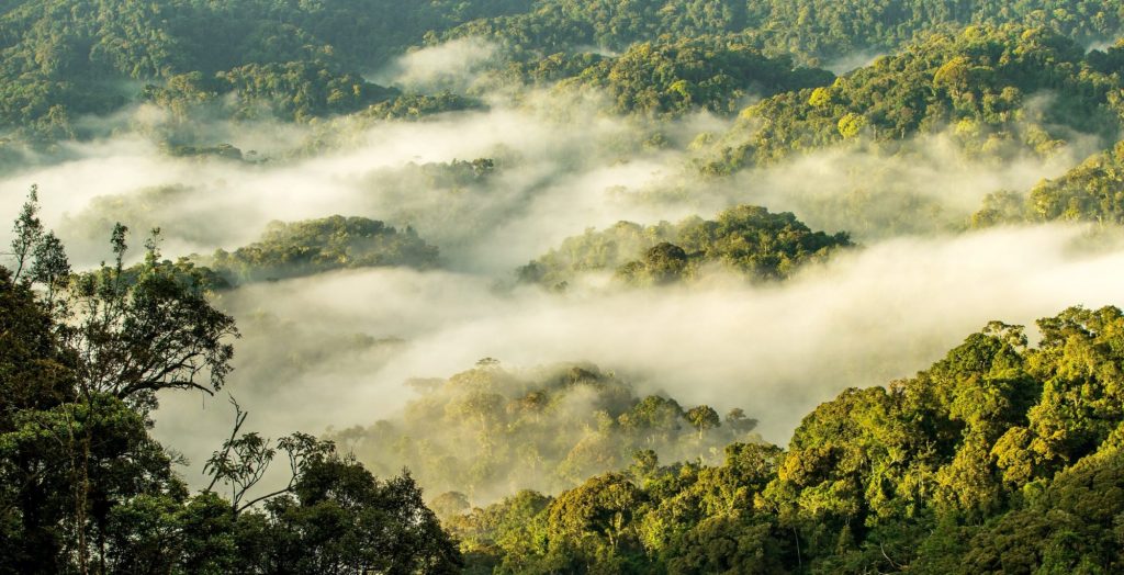 National Parks in Rwanda