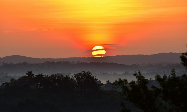 Kibale Forest National Park