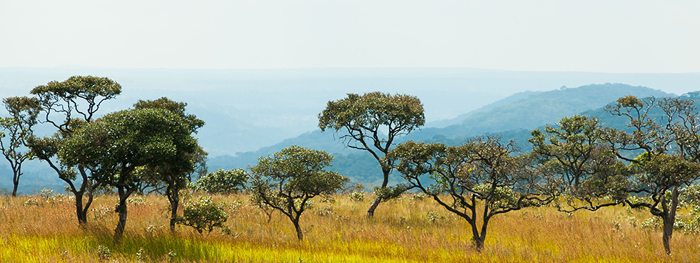 Upemba National Park Congo
