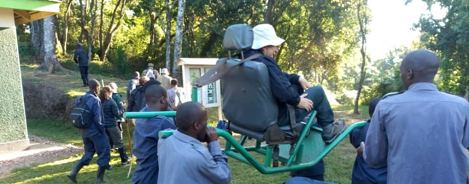 Gorilla Trekking for Disabled People