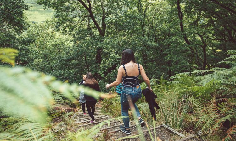 Nature Walks in Bwindi - Explore Trails, Wildlife & Scenic Views