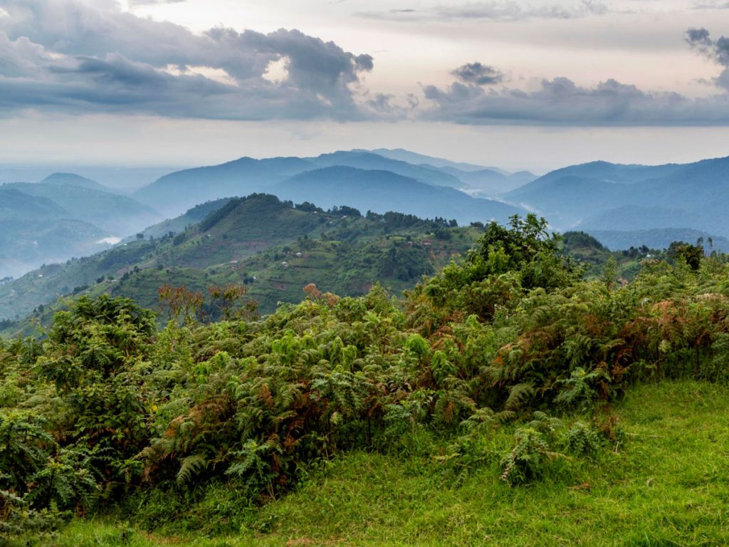 Is it Safe to Visit Bwindi National Park?