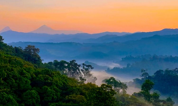 Gishwati-Mukura National Park