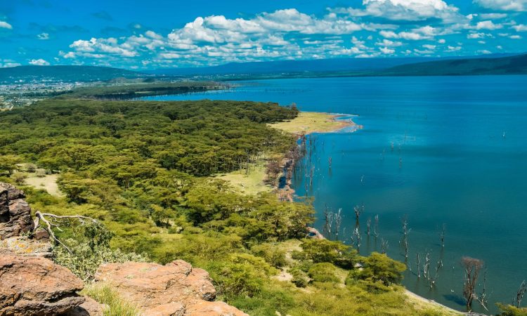 5 Days Maasai Mara & Lake Nakuru Wildlife Safari