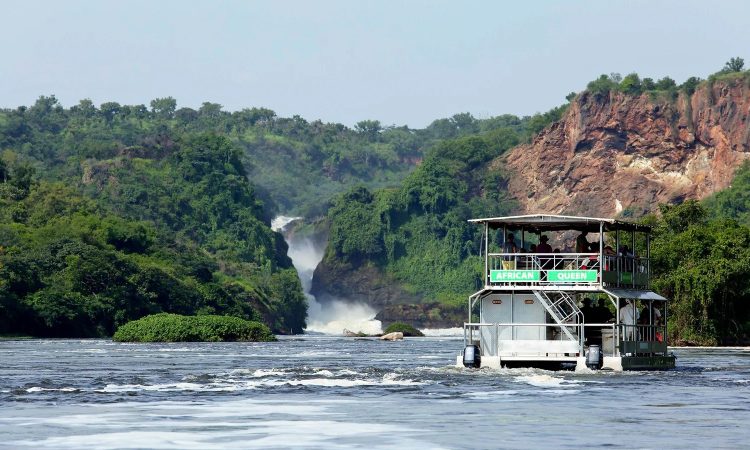 Featured Safaris & Tours