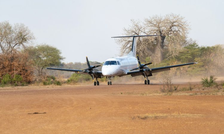3-Day Serengeti National Park Flying Safari