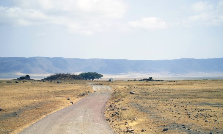 3-Day Serengeti Safari from Arusha