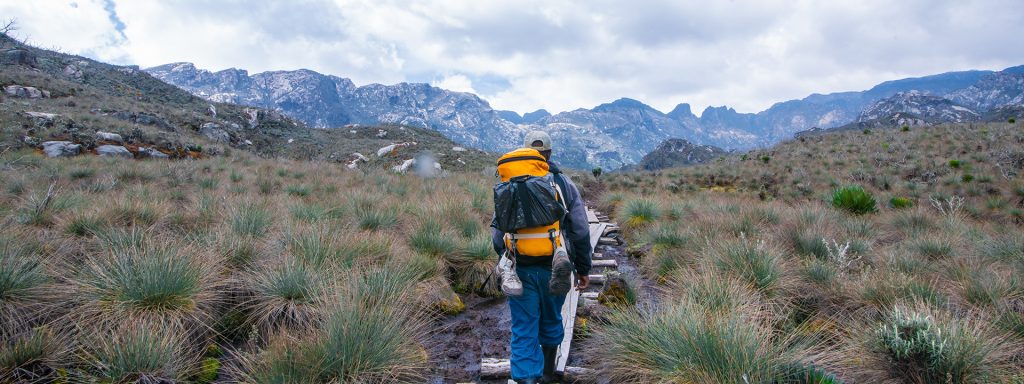 4-Day Mutinda Lookout Trek - Rwenzori Discovery
