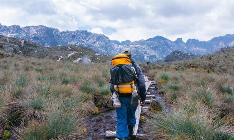 4-Day Mutinda Lookout Trek - Rwenzori Discovery