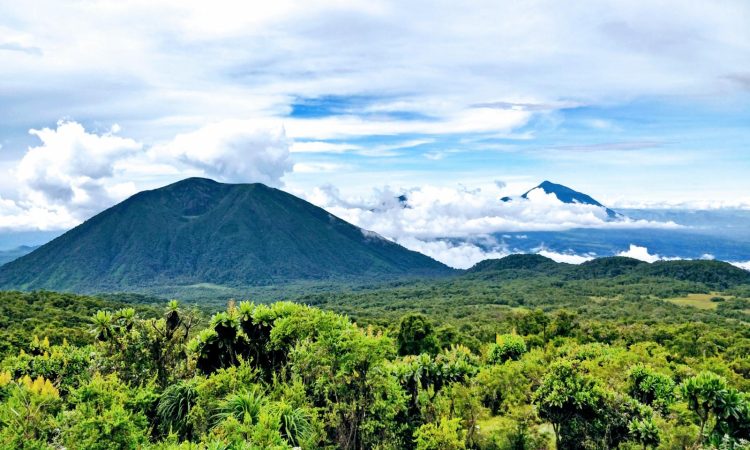 3-Day Mount Karisimbi Hiking Tour Highlights