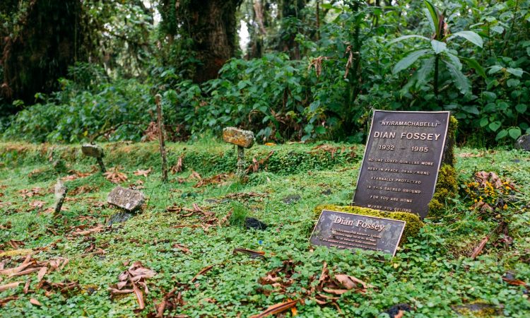 Detailed 5-Day Rwanda Tour Itinerary