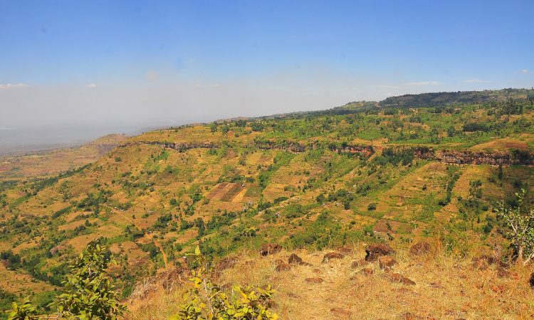 Mount Elgon National Park - Uganda's Hiking & Wildlife Destination