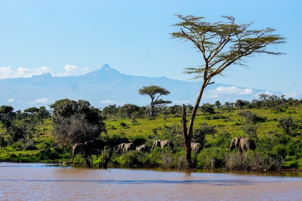 5-Day Mount Kenya Climbing Tour Highlights