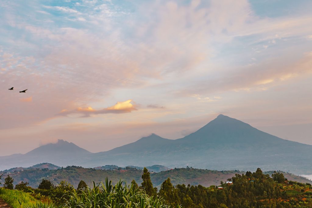 Detailed 2-Day Rwanda Gorilla Tour Itinerary