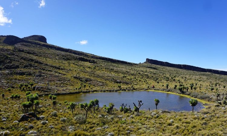 Mount Elgon National Park