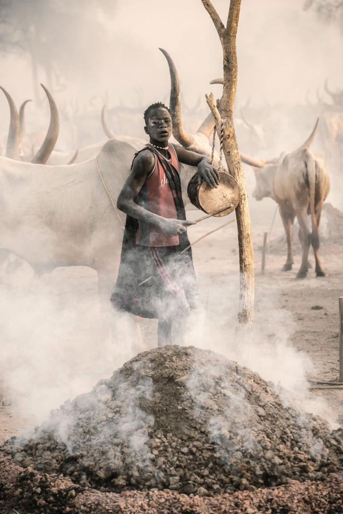 8-Day Southern National Park Tour Highlights