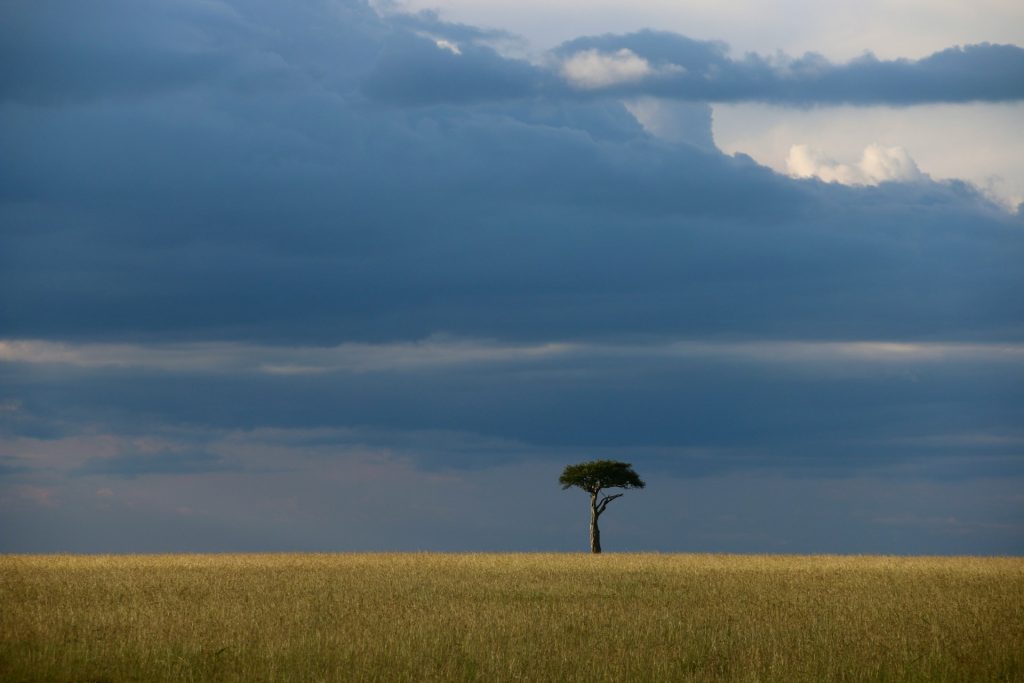 Detailed 10-Day Kenya Safari Itinerary