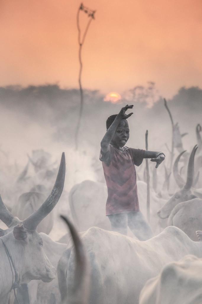 4-Day Mundari Cattle Camp Tour Highlights