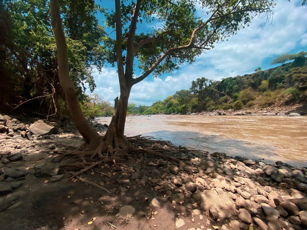 Detailed Awash National Park 3-Day Safari Itinerary