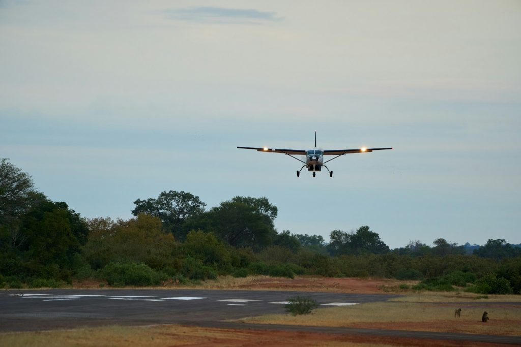 Highlights of the 3 Days Nyerere Flying Safari