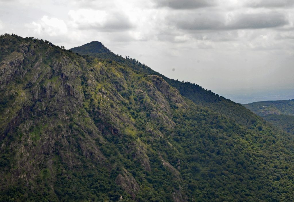 Highlights of the 4-Day Mount Kenya Climbing Tour