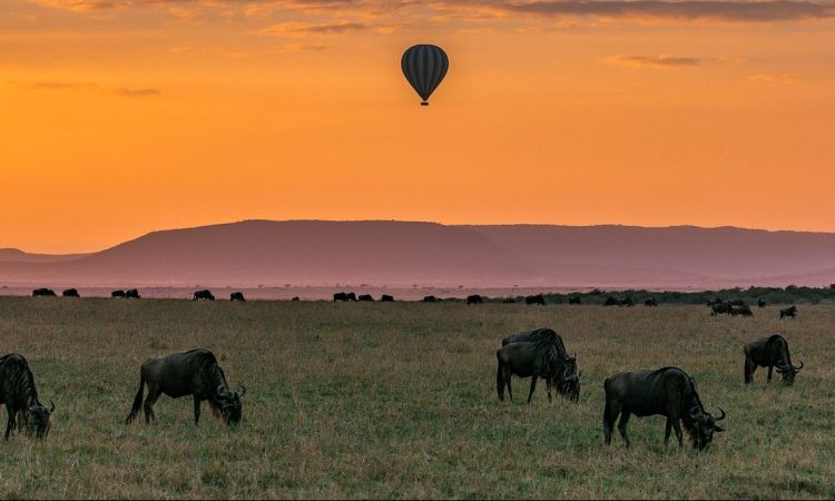 15 Days Gorilla Trekking Special & Wildebeest Migration Safari