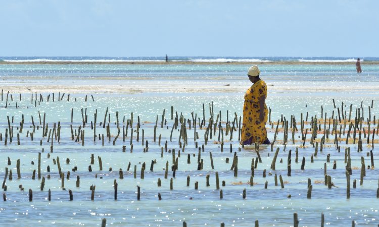 18 Days Zanzibar Beach Holiday, Slavery & Historical Tour
