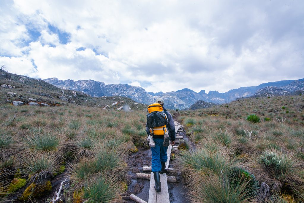 Nature Walks in Rwenzori