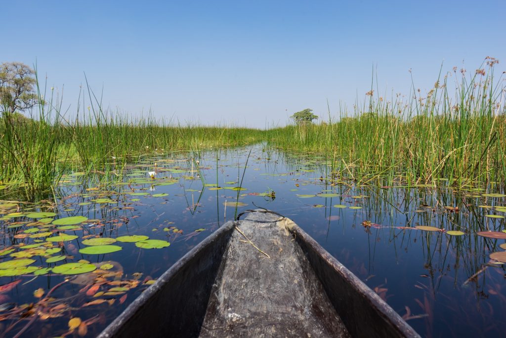 Best Botswana Safari Destinations