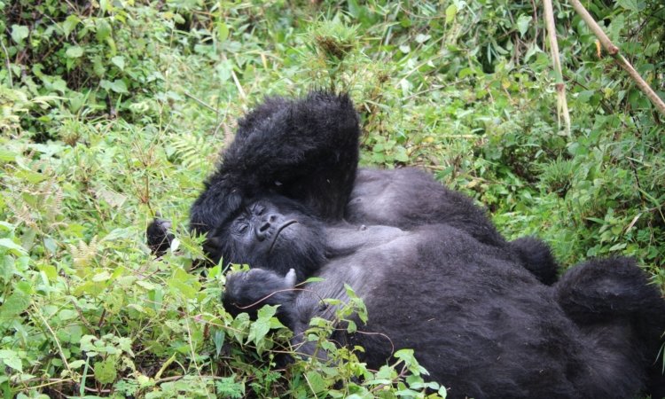 Top 100 Places to Visit in Rwanda